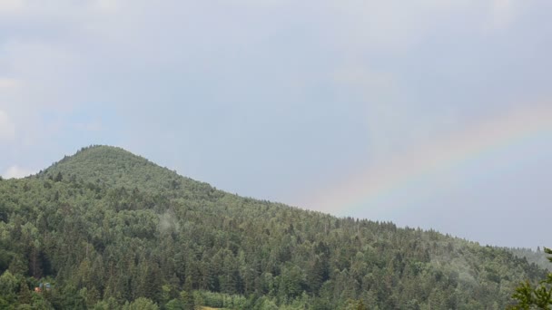 Mooie Regenboog Een Regenbui Regenboog Bergen — Stockvideo