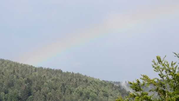 Regenboog Bergen Mooie Regenboog Een Regenbui — Stockvideo