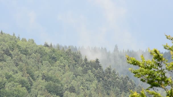 Après une pluie. La vapeur dans les montagnes 