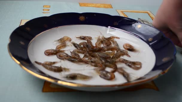 Crevettes Vivantes Dans Une Assiette Crevettes Vivantes — Video