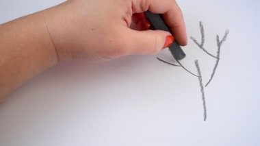 Ağaç çiziyoruz. Pastel çiziyoruz.