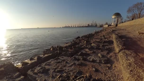 Paisagem Marítima Gaivotas Mar — Vídeo de Stock