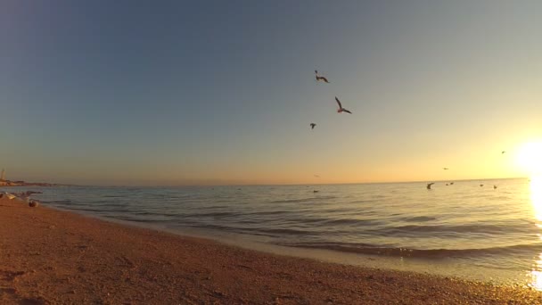 Spiaggia Mare Sparatoria Tramonto — Video Stock