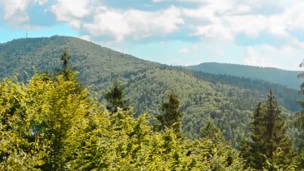 Hory Karpatech Příroda Horách Léto — Stock video