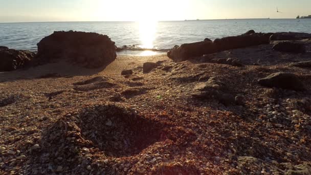 ビーチと海 日没時の撮影 — ストック動画