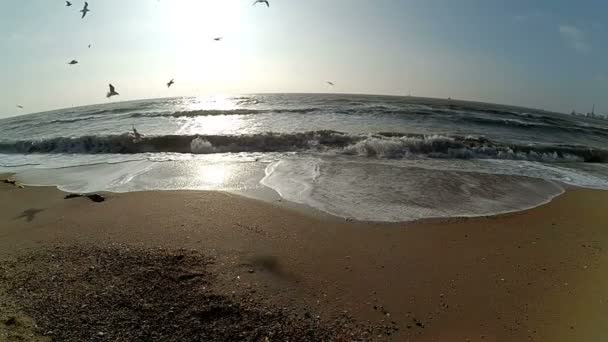 Paisagem Marítima Movimento Lento Mar Ondas — Vídeo de Stock