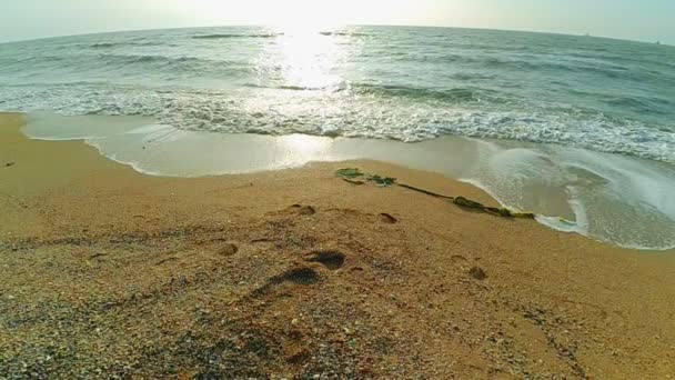 Deniz Dalgalar Deniz Manzarası Yavaş Çekim — Stok video