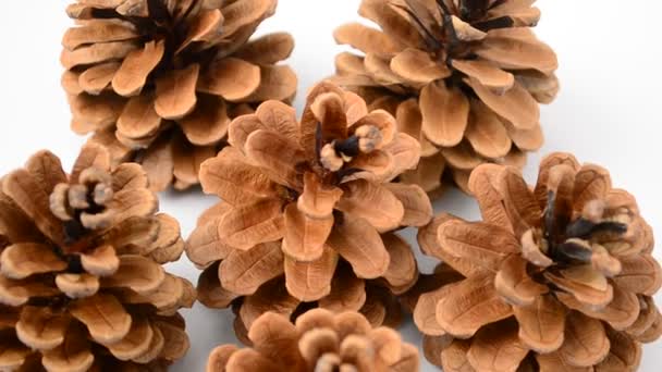 Conos Sobre Fondo Blanco Aislados Navidad Naturaleza Muerta — Vídeo de stock