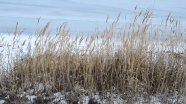 Kışın tebeşir. Ocak 'ta çekim.