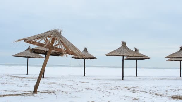 Χειμώνας Θάλασσα Και Παραλία Σκοποβολή Τον Ιανουάριο — Αρχείο Βίντεο