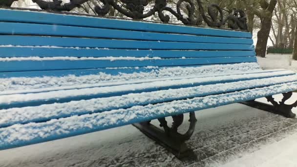 公園のベンチは 雪が降っています 公園での銃撃だ スローモーション — ストック動画