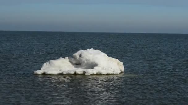 Riprese Febbraio Fiocco Ghiaccio Nel Mare Inverno — Video Stock