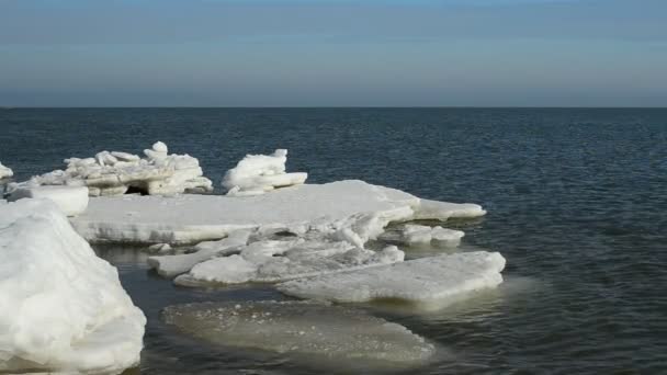 Fiocco Ghiaccio Nel Mare Inverno Riprese Febbraio — Video Stock