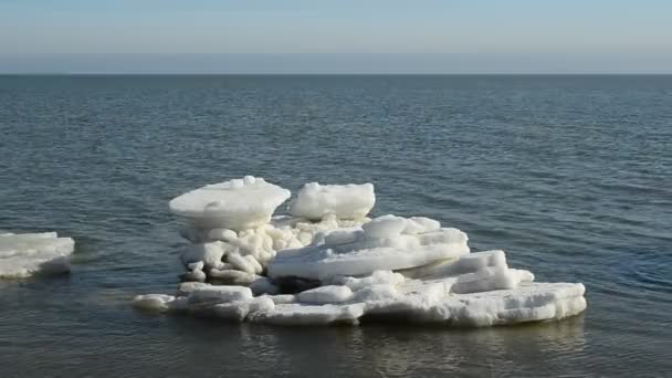 Льодяний Потік Морі Зима Зйомки Лютому — стокове відео