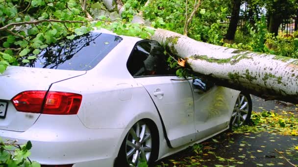 Coche Roto Patio Coche Destruido Por Huracán — Vídeo de stock