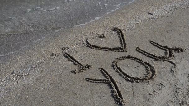 Plajdaki Yazıt Sahilde Çekim Yapmak Sahilde Çekim Yapmak — Stok video