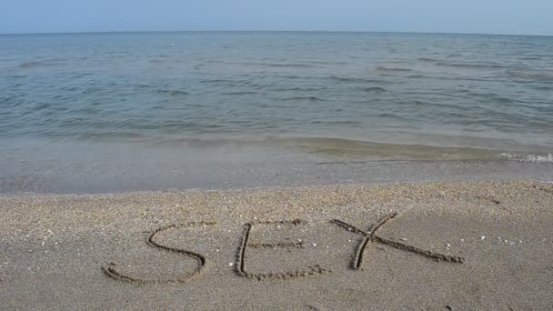 Sex Ručně Napsaný Písku Pláži Fotografování Pláži — Stock video