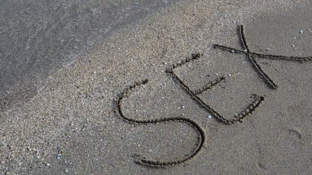 Seks Handgeschreven Het Zand Een Strand Schieten Het Strand — Stockvideo