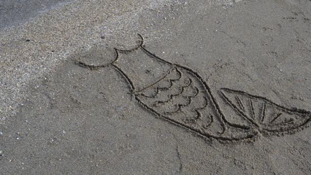 人魚が浜辺で絵を描いている 浜辺での銃撃戦 — ストック動画