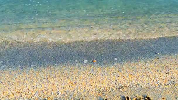 Sonniger Tag Entspannen Inschrift Die Sonne Auf Sand Der Strand — Stockvideo