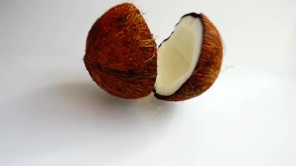 코코넛 — 비디오