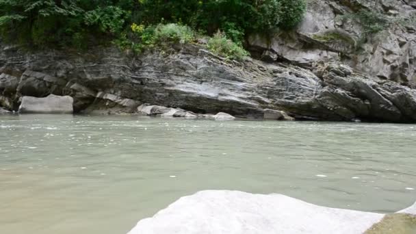 Stones Water Shooting Carpathians — Stock Video