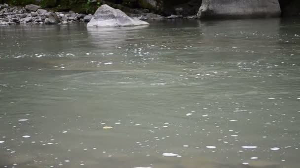 Atira Pedras Para Rio Efeito Pedra Lançada — Vídeo de Stock