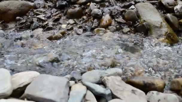 Ορεινό Ποτάμι Ακτή Του Ορεινού Ποταμού — Αρχείο Βίντεο