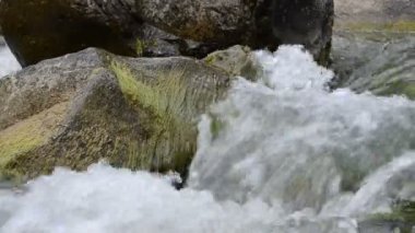 Dağ nehrinin akıntısı. Taşlar ve dağ nehri.