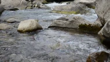 Doğa ve nehir. Dağ nehrinin akıntısı.