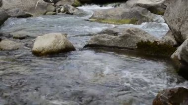 Dağ nehrinin akıntısı. Doğa ve nehir.