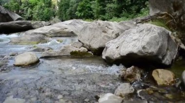 Dağ nehrinin kıyısında. Taşlar ve dağ nehri.