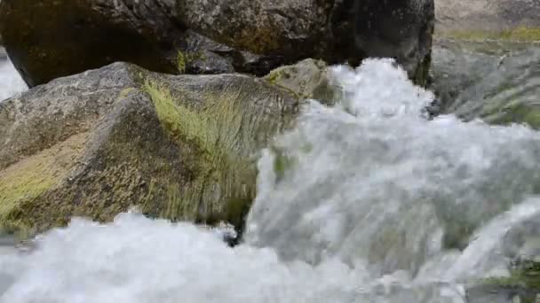 山の川の流れ 石や渓流 — ストック動画