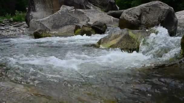 Stenar Och Bergsflod Strömmen Bergsfloden — Stockvideo