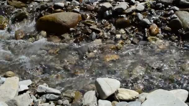 Wybrzeże Górskiej Rzeki Górska Rzeka — Wideo stockowe