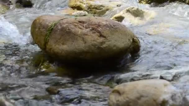 Strömung Des Gebirgsflusses Steine Und Gebirgsfluss — Stockvideo