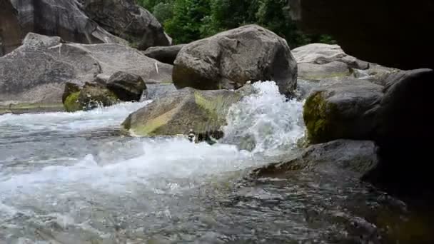 石や山の川 渓流の流れ — ストック動画
