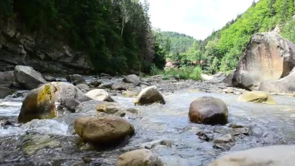 河和石头 快速山区河流 — 图库视频影像
