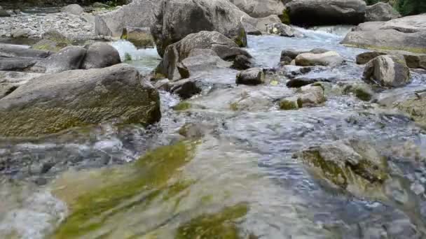 Γρήγορο Ποτάμι Βουνό Ποτάμι Και Πέτρες — Αρχείο Βίντεο