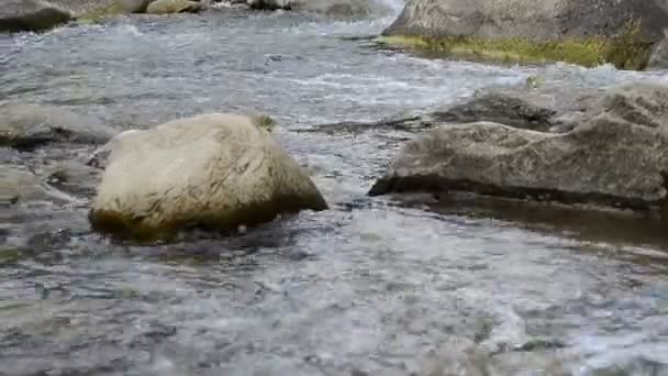 Ρεύμα Του Ποταμού Του Βουνού Φύση Και Ποταμός — Αρχείο Βίντεο