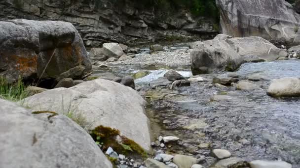 在岩石中间的山河 山区河流的水流 — 图库视频影像