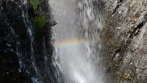 Fall Och Regnbåge Långsamma Rörelser — Stockvideo