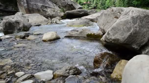 Taşlar Dağ Nehri Dağ Nehrinin Kıyısında — Stok video