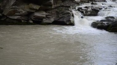 Dağ nehri ve düşüyor. Yazın dağ nehrinin çekimi.
