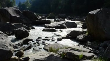 Dağlar, nehir ve taşlar. Dağ nehri. Karpatlar 'da çekim