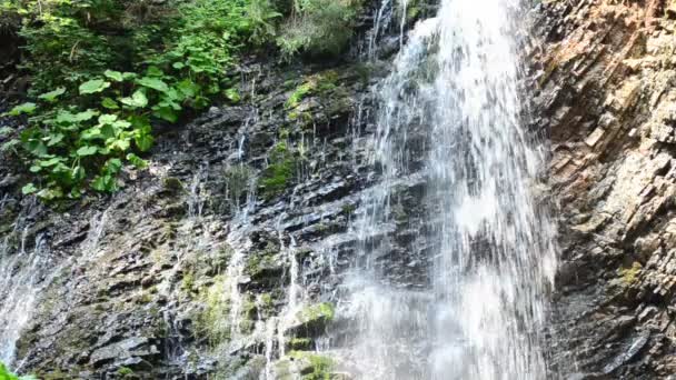 山の中の滝 スローモーション 山と滝 — ストック動画