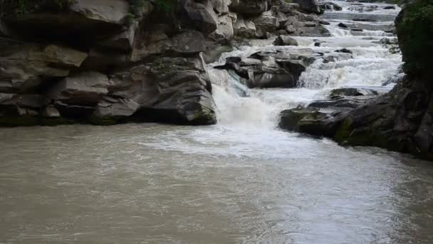 Зйомки Гірської Річки Влітку Гірська Річка Водоспад — стокове відео