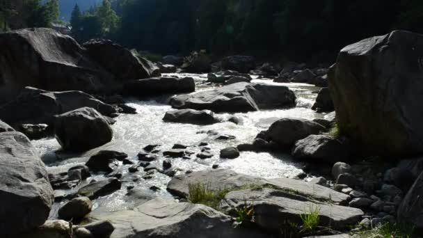 Dağlar Nehir Taşlar Dağ Nehri Karpatlar Çekim — Stok video