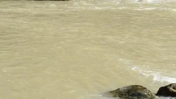 Течія Гірської Річки Стрілянина Влітку Камені Березі Гірського Річки — стокове відео