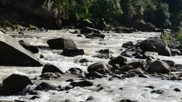 Steine Ufer Des Flusses Strömung Des Gebirgsflusses Dreharbeiten Sommer — Stockvideo